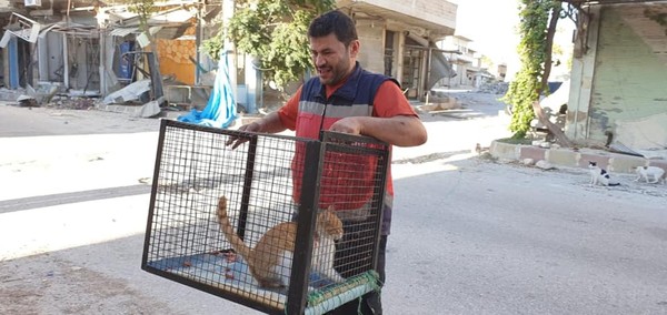 （圖／翻攝自Facebook／Ernesto`s Sanctuary for Cats in Syria）