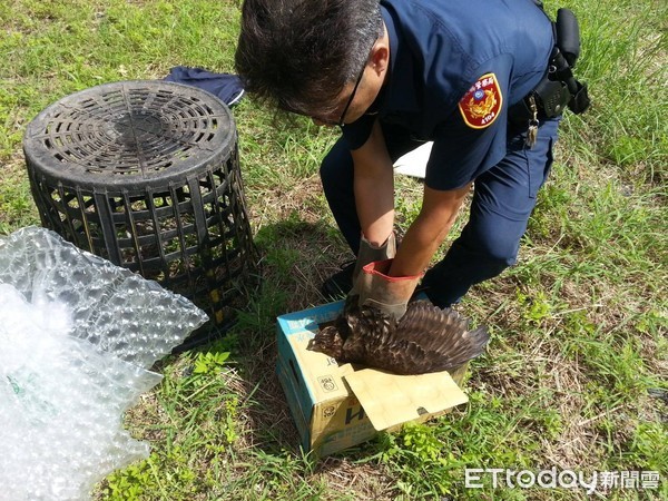 ▲警方協助轉送救治。（圖／記者楊均典翻攝）