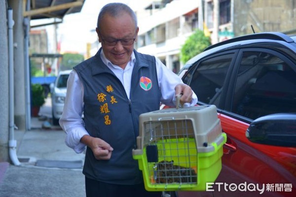 ▲苗栗縣苑裡鎮1名民眾再度拾獲石虎，通報農業處後立即送醫檢查，縣長徐耀昌也到醫院表示關心。（圖／記者黃孟珍翻攝）