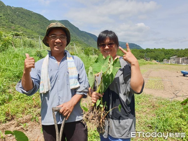 ▲屏東縣溝牡丹鄉農友李金豐種有機菜供應學校營養午餐，旁邊是太太陳梅慈             。（圖／記者陳崑福翻攝）