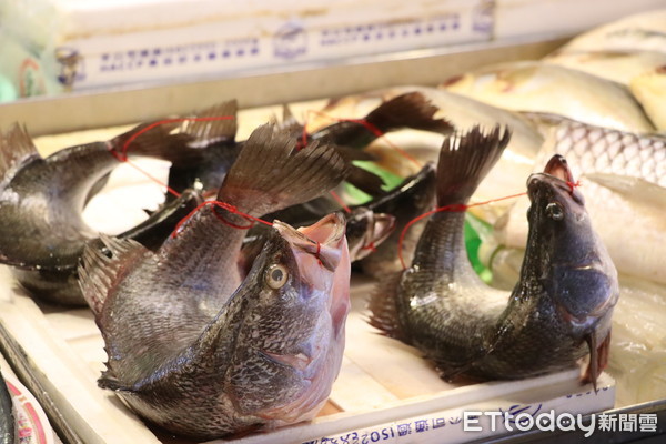 ▲魚販販售活體弓魚   。（圖／台灣動物社會研究會提供）