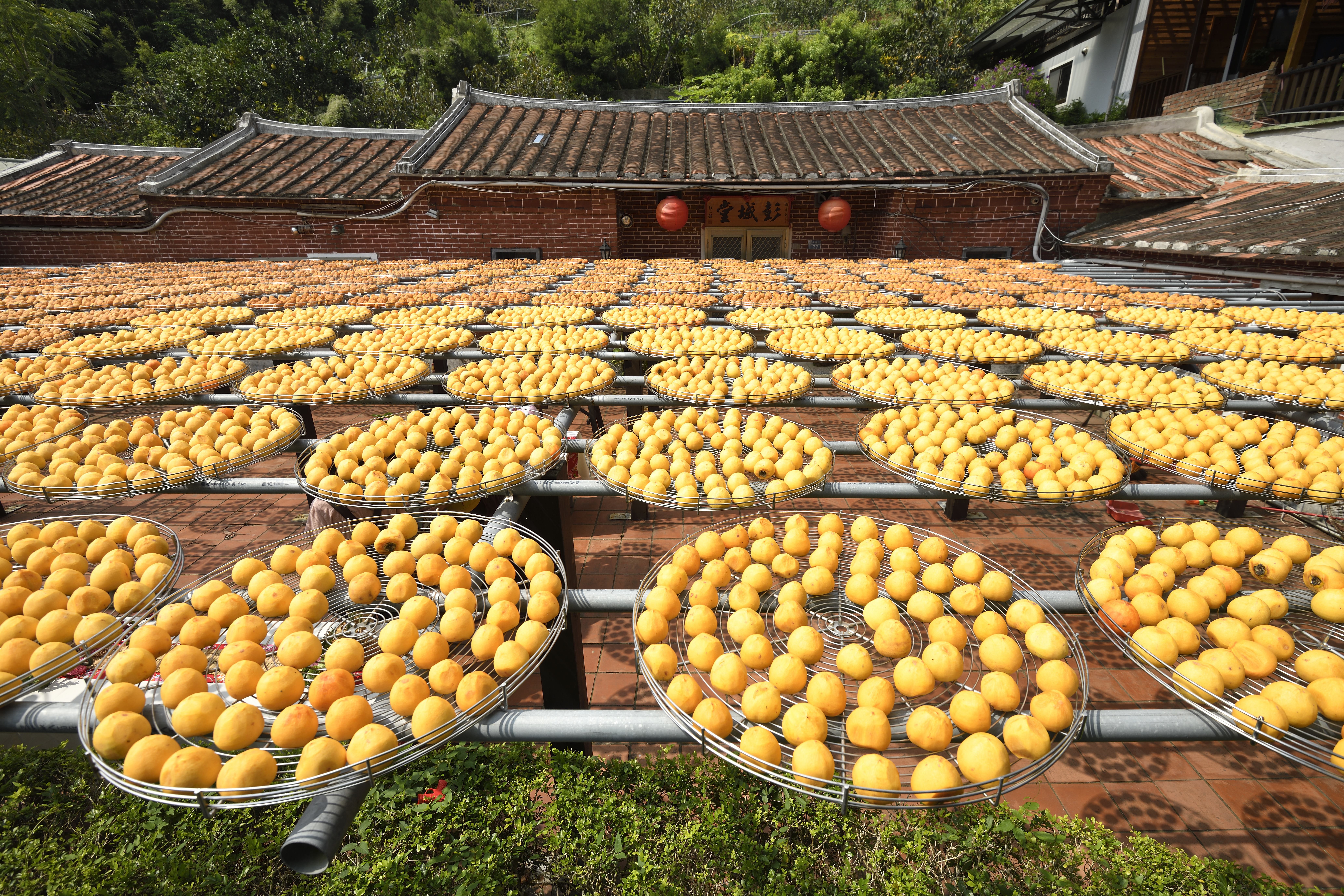 2019玩味柿餅節 最美秋季顏色 新埔曬柿 捏柿 品柿找尋百年客庄風味 Ettoday生活新聞 Ettoday新聞雲