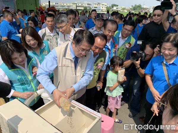 ▲台南六甲林鳳營陸橋下開放彩繪稻田藝術地景觀賞，市長黃偉哲力邀觀賞。（圖／記者林悅翻攝，下同）