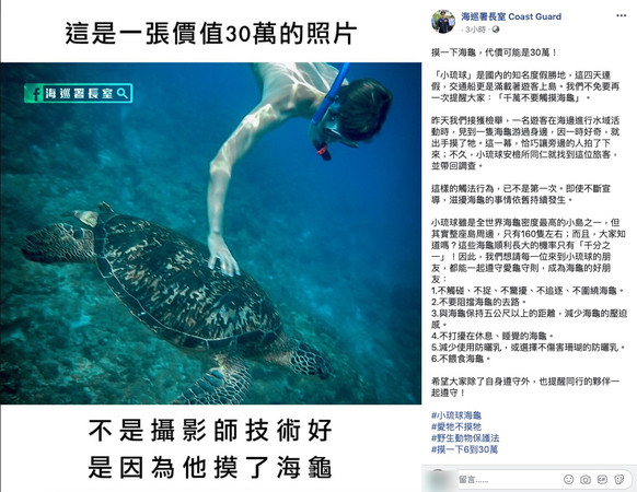 ▲▼少年浮潛摸海龜最高可能要被罰30萬。（圖／翻攝自Facebook／海巡署長室）