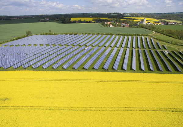 ▲▼ 德國東部Saxony一處花田旁邊建滿太陽能板。（圖／達志影像／美聯社）