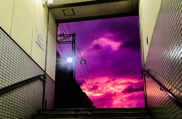 ▲▼ 哈吉貝颱風襲日前夕，許多網友捕捉到紫色天空的景色。（圖／翻攝自推特@Desu_unknown）