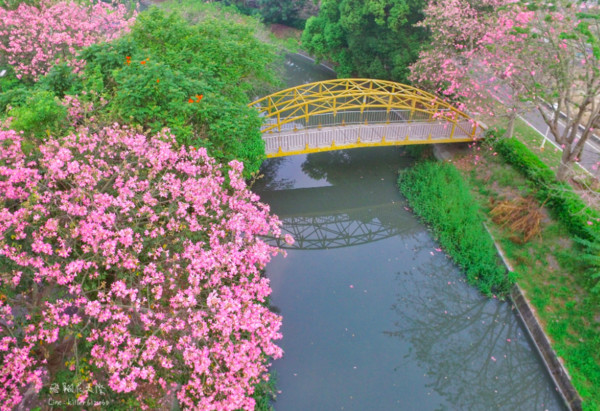 ▲彰化北斗河濱公園。（圖／攝影師《飛翔在天際》提供，請勿隨意翻拍，以免侵權。）