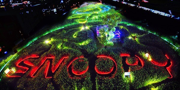 史努比星空花園 金色夜光花毯花蓮秋天最夢幻2大夜景只到11月底 Ettoday旅遊雲 Ettoday新聞雲 史努比星空花園 金色夜光花毯花蓮秋天最夢幻2大夜景只到11月底 Ettoday旅遊雲 Ettoday新聞雲