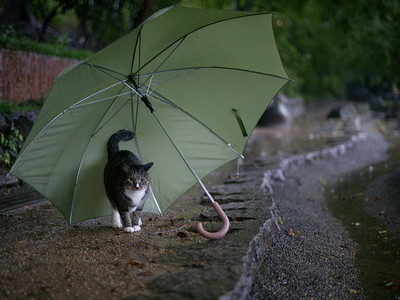反了吧！這把雨傘確定不是縫錯了嗎？
