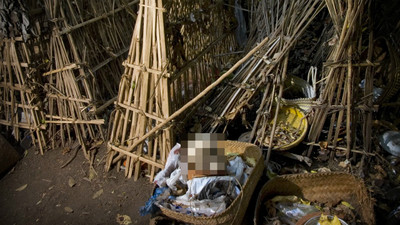 親人過世「曝屍擺樹下」！峇里島屍體村驚見腐屍　過路還得付錢