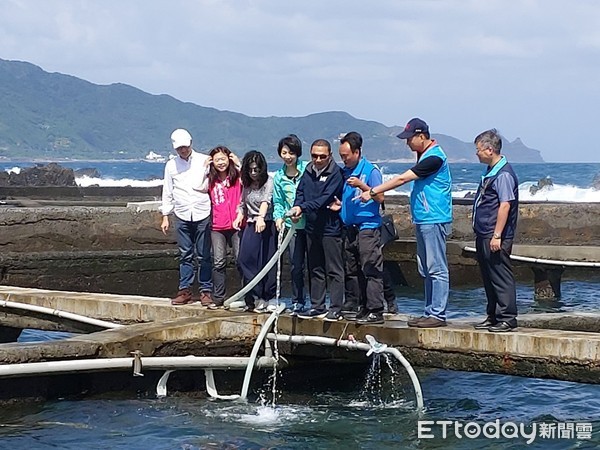 ▲ 侯Sir出任務！貢寮行銷鮑魚、九孔。（圖／新北市漁業處提供）