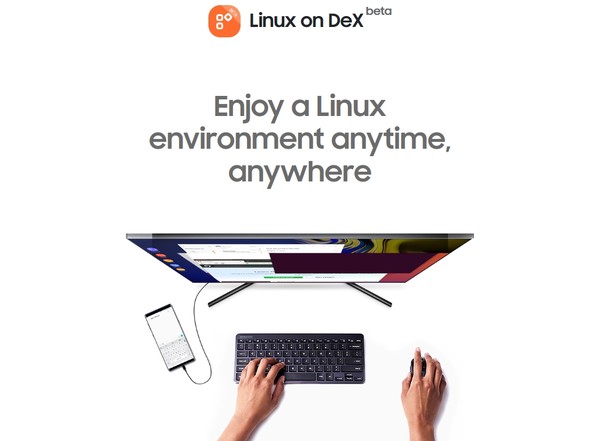 ▲▼Linux on Dex。（圖／截自三星）