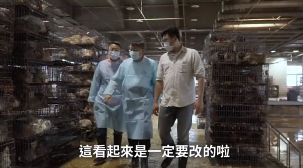 不是整車雞鴨運到台北！　柯文哲巡家禽市場：現代化市場應是產地屠宰 | E