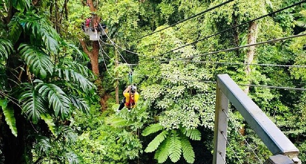恩愛夫妻雨林挑戰叢林飛索　慘從10公尺高墜地丈夫當場身亡她重傷。（圖／翻攝自Facebook／Jungle Surfing Canopy Tours）
