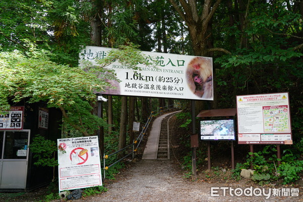 ▲▼地獄谷野猿公苑。（圖／記者趙蔡州攝）