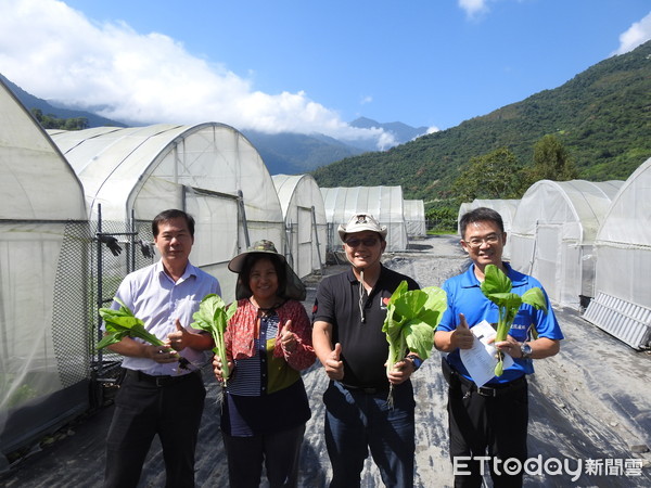 ▲台東縣政府與台東縣農會派員前往延平鄉視察「縱谷有機農場」耕作情形。（圖／記者楊鈞典翻攝）