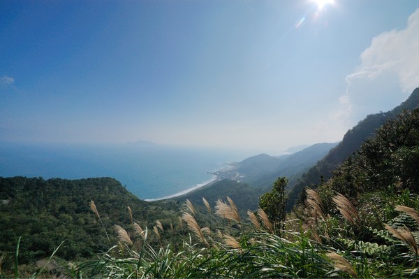 ▲▼草嶺古道芒花季。（圖／東北角暨宜蘭海岸國家風景區管理處提供）