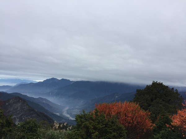 ▲▼阿里山國家森林遊樂區秋意正濃，姓名中有「阿」、「里」或「山」的旅客10元入園。（圖／嘉義林管處提供）