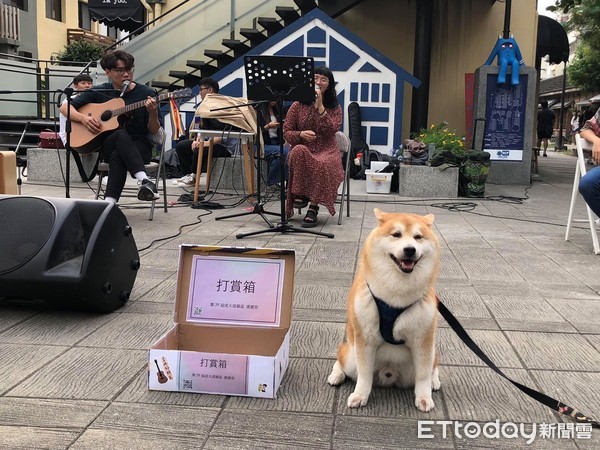 ▲錢錢曾在打賞街頭藝人時，誤將裏頭的錢咬出，獲得不少笑聲。