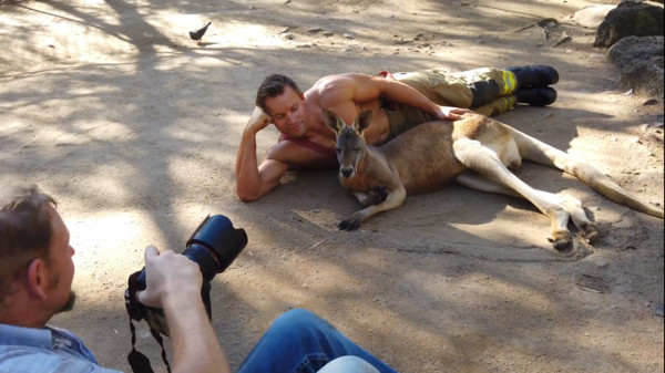 消防員和小動物拍月曆。（圖／Australian Firefighters Calendar授權使用）