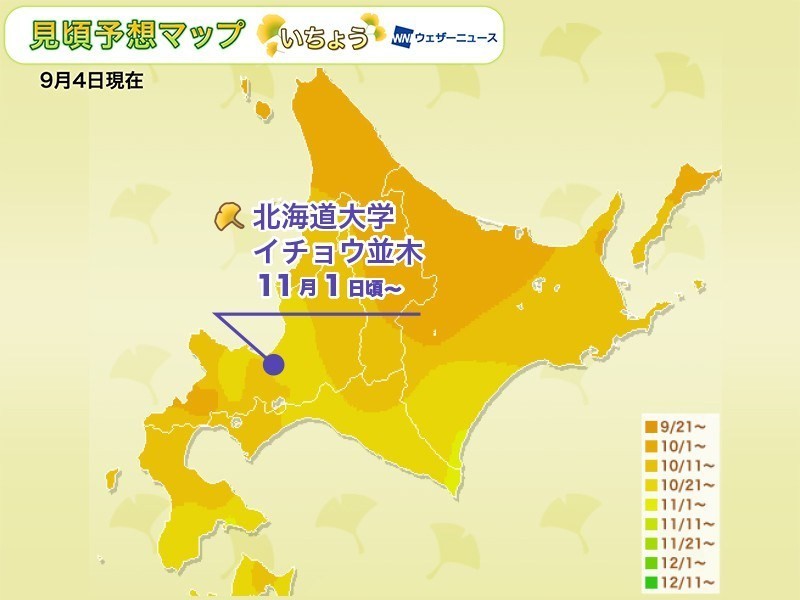 ▲▼精選北海道8大賞楓地。（圖／ReadyGo提供）