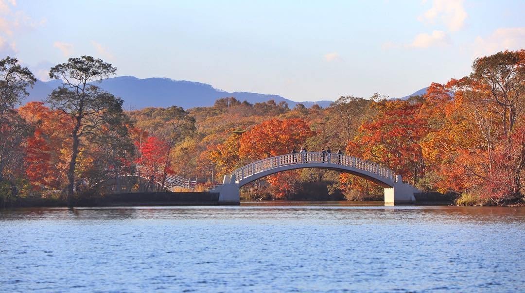 ▲▼精選北海道8大賞楓地。（圖／ReadyGo提供）