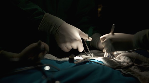 ▲▼手術，開刀，健康，醫院，醫師。（圖／CFP）