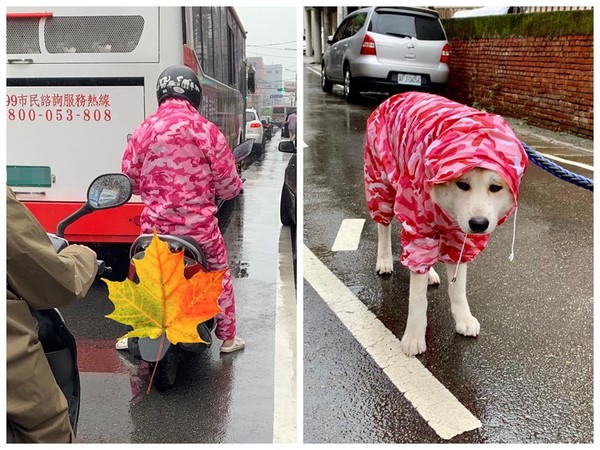 ▲路人和愛犬有同款情侶雨衣。（圖／有點毛毛的／網友李雨璇提供）