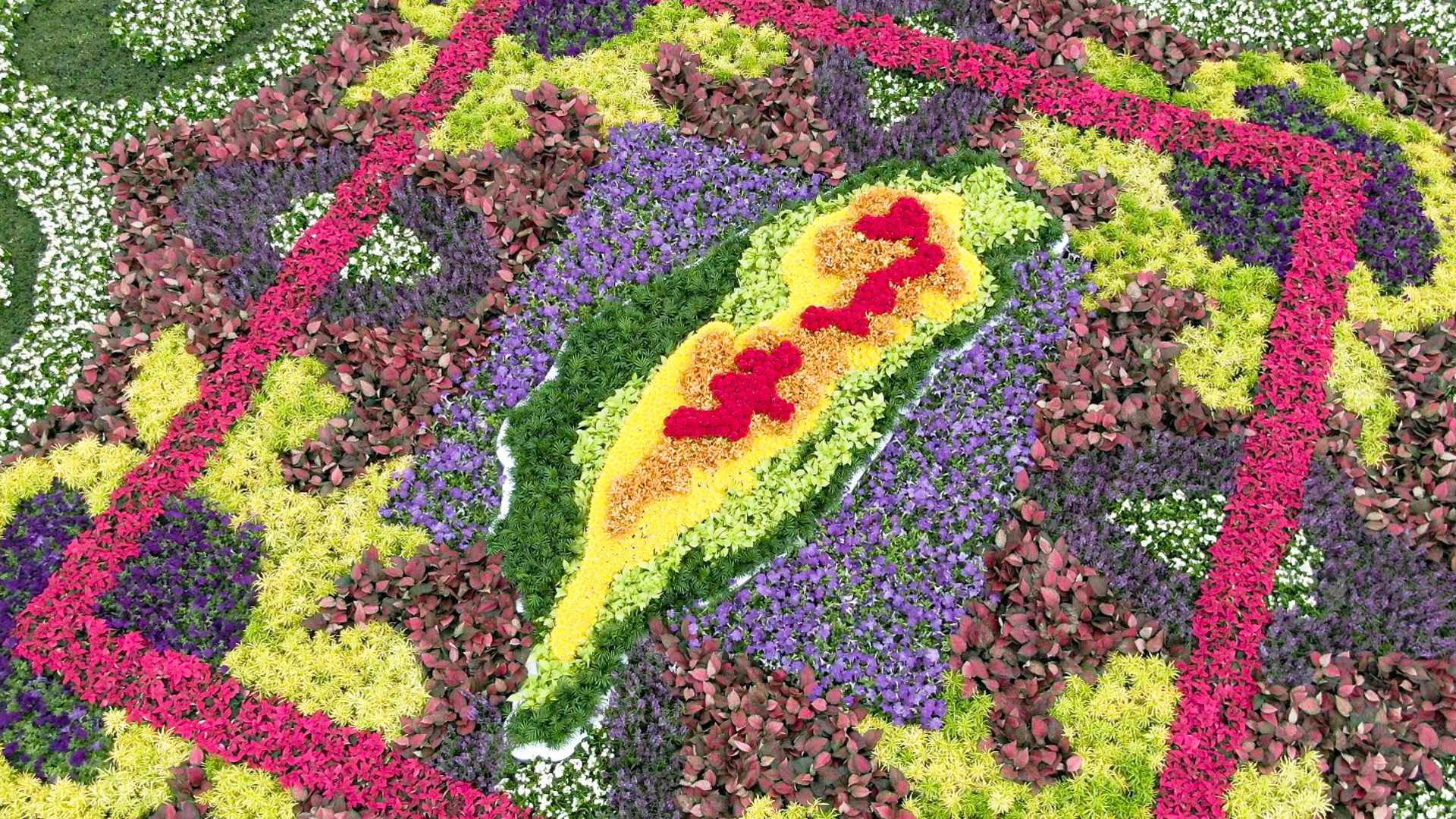 ▲▼「彩遊花趣-創意花毯」花卉展示推廣活動在中正紀念堂民主大道上熱鬧開展。（圖／農委會提供）