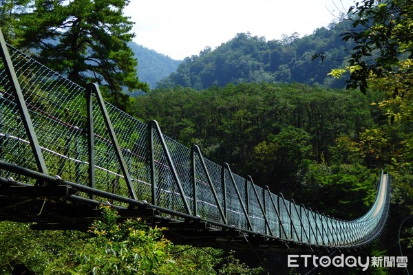 ▲▼      2歲童墜落奧萬大吊橋       。（圖／林務局提供）