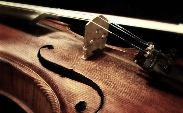 ▲▼小提琴 。（圖／免費圖庫Pixabay）