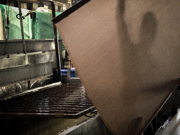 ▲高三生黃越謙以手機照片奪得美國IPA攝影大獎，非常難得。（圖／黃越謙臉書）