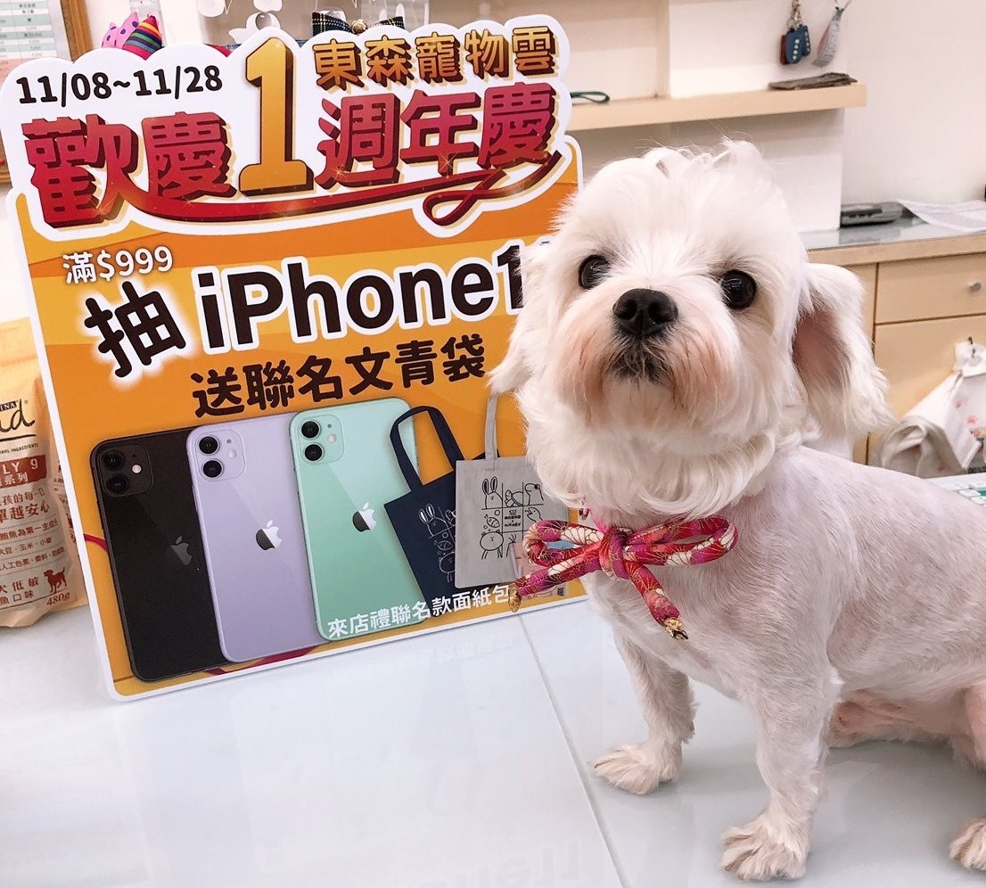 毛毛店長 齊出動 寵物雲商店 週週抽iphone11 為您升級萌寵相機 Ettoday寵物雲 Ettoday新聞雲