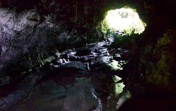 ▲▼考馬納熔岩洞公園（Kaumana Caves Park）。（圖／翻攝自hikespeak.com）