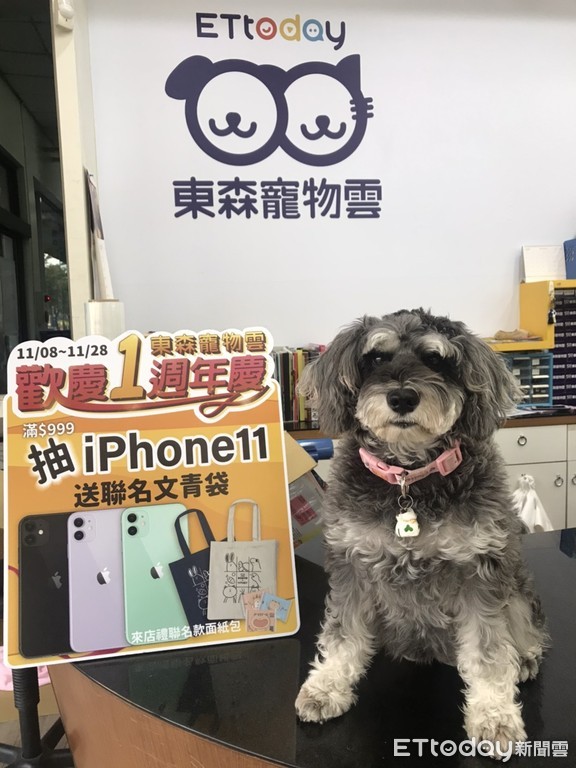 ▲▼「毛毛店長」齊出動！大聲宣布：寵物雲「週週抽iPhone11」。（圖／東森寵物雲商店）