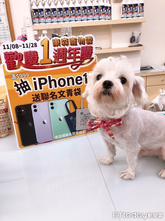 ▲▼「毛毛店長」齊出動！大聲宣布：寵物雲「週週抽iPhone11」。（圖／東森寵物雲商店）