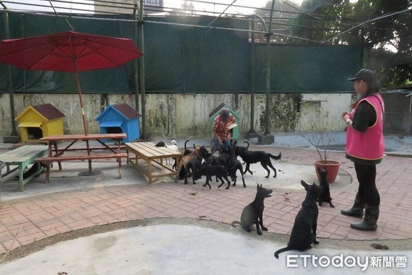 ▲台南市動保處規劃於學甲區設立動物保護敎育園區。（圖／記者林悅翻攝）