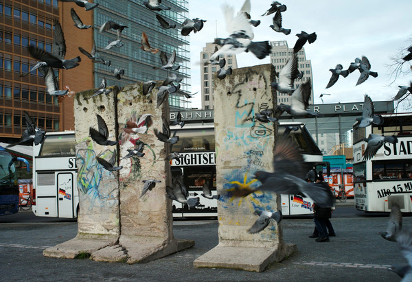 ▲▼柏林圍牆倒塌30周年。鴿子飛過波茨坦廣場的柏林圍牆遺址。（圖／路透）