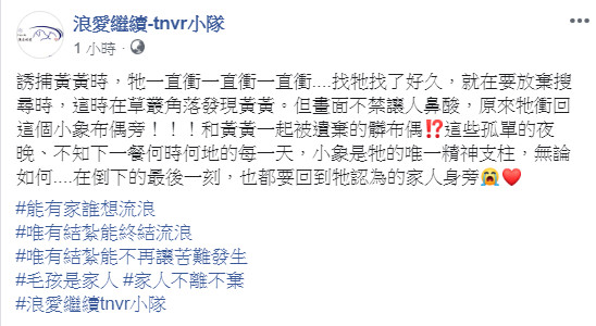 ▲▼浪浪被圍捕！小黃狗「倒地前一刻」緊抱玩偶　誘捕小隊心酸淚崩。（圖／翻攝浪愛繼續-tnvr小隊）