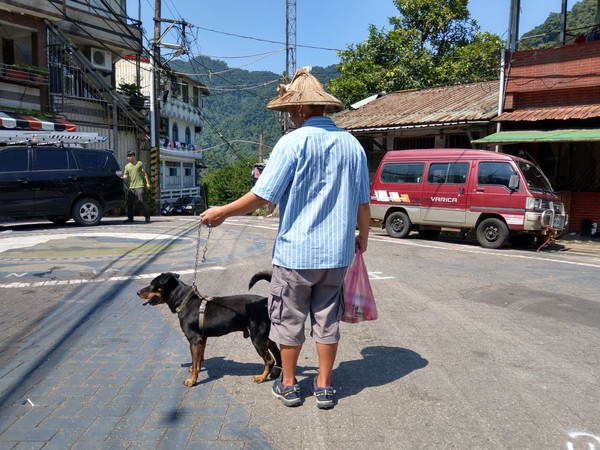 皮膚病犬恢復健康，平溪阿嬤笑呵呵。（圖／新北市動保處提供）