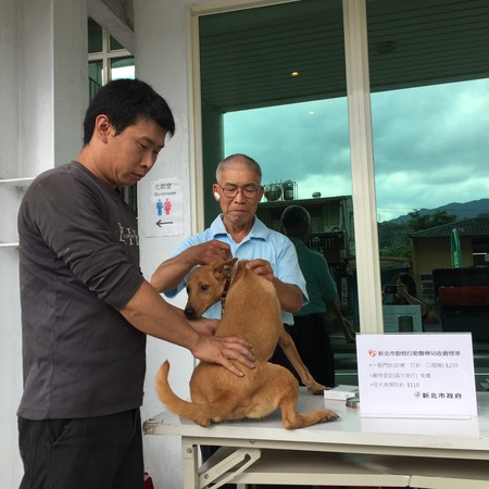 皮膚病犬恢復健康，平溪阿嬤笑呵呵。（圖／新北市動保處提供）