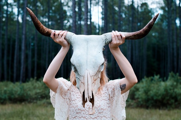 ▲▼牛頭,占卜,星座,女孩。（圖／翻攝自pixabay）