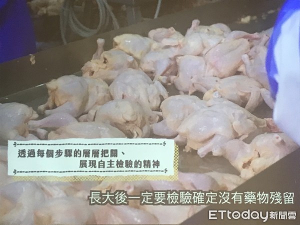 ▲▼ 中華民國養雞協會為推廣台灣國產雞肉，宣布購買台灣機就有機會抽中iPhone11。（圖／記者許展溢攝）