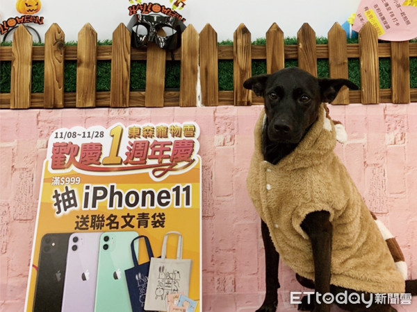 ▲▼東森寵物雲送出的第一支iPhone11，獎落彰化中山店。（圖／東森寵物雲商店提供）