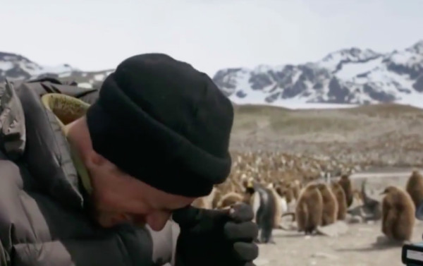 ▲▼《七個世界，一個星球》工作人員在南極看到地球暖化的後果，忍不住哭了。（圖／翻攝自BBC Earth）