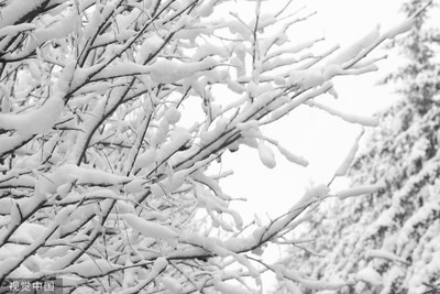 一夜入冬！中國多地將「斷崖式」降溫…黑龍江已出現降雪