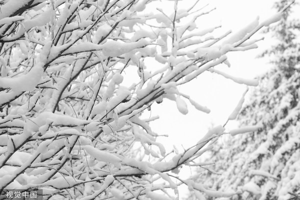 ▲黑龍江迎來降雪天氣。（圖／CFP）