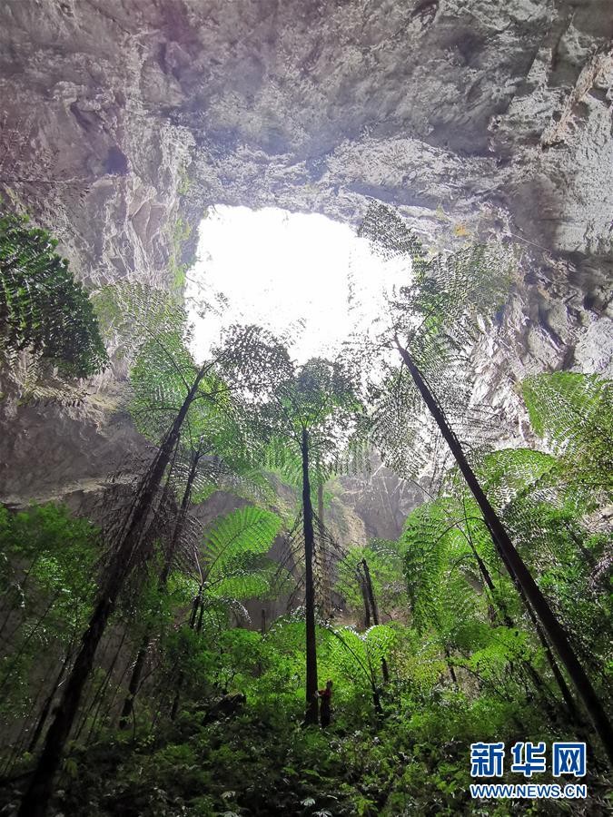 ▲▼ 北迴歸線以南最大破洞！發現「世界級天坑」　原始洞穴美照驚人曝光。（圖／新華社）