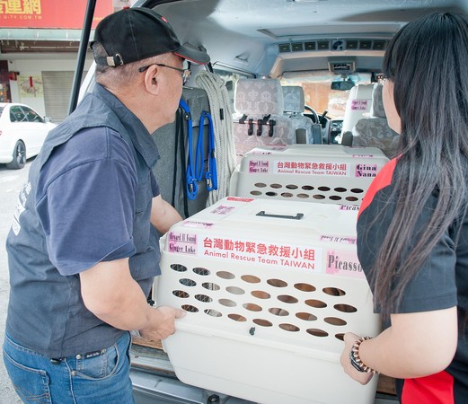 ▲救援小組表示，運送犬貓的載具須符合一定規範。（圖／台灣動物緊急救援小組提供）