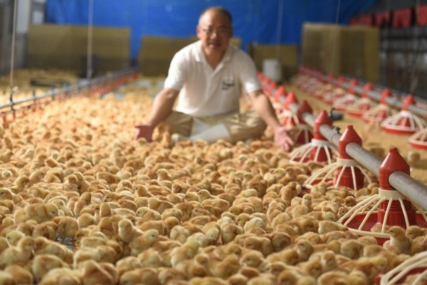 ▲家樂福自有品牌非籠飼雞蛋。（圖／家樂福提供）